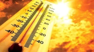 أمطار رعدية.. تحولات مفاجئة في طقس الغد مع شبورة كثيفة ودرجات حرارة متغيرة